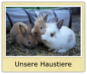 Unsere Haustiere