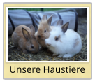 Unsere Haustiere