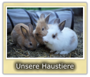 Unsere Haustiere